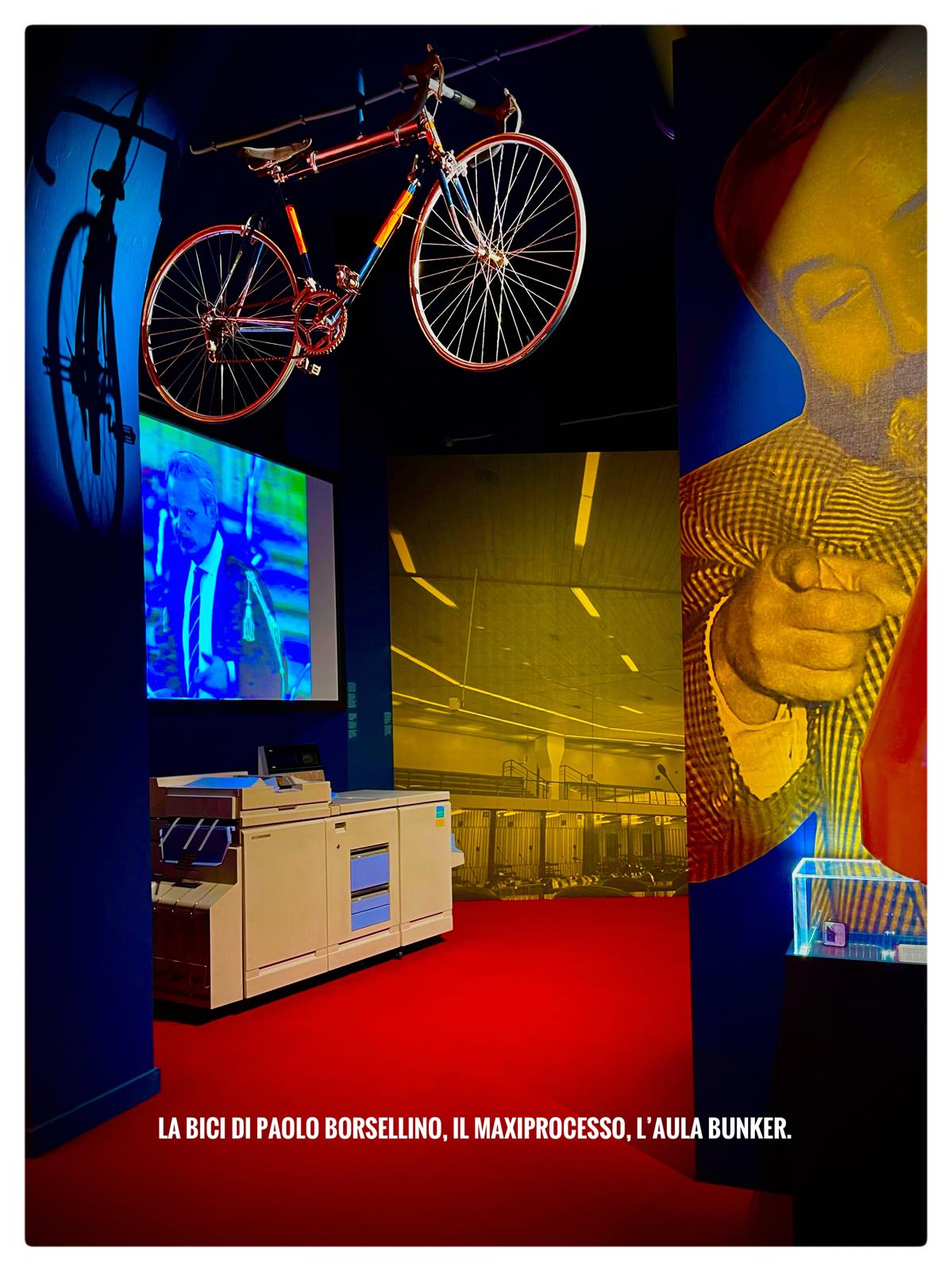 immagine museo falcone pernice cultura