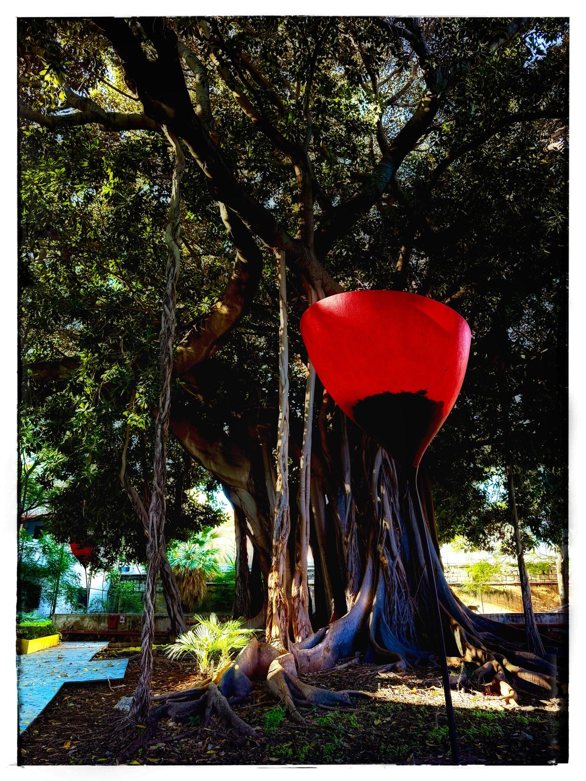 immagine museo falcone pernice cultura