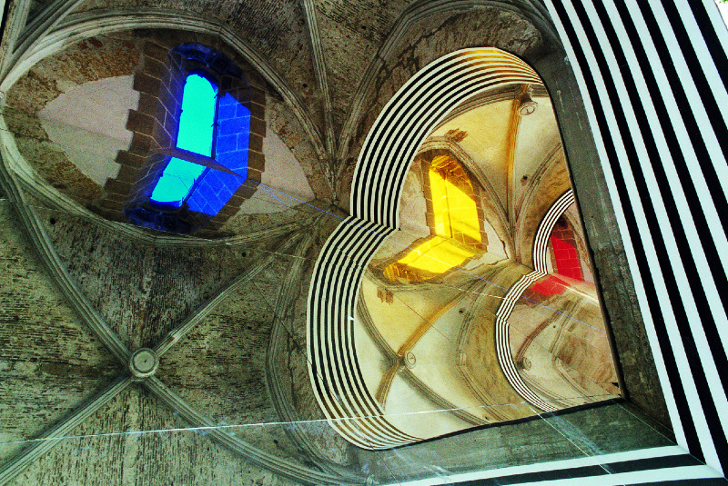 immagine spasimo kalsa pernice cultura