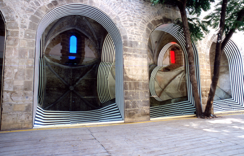 immagine spasimo kalsa pernice cultura