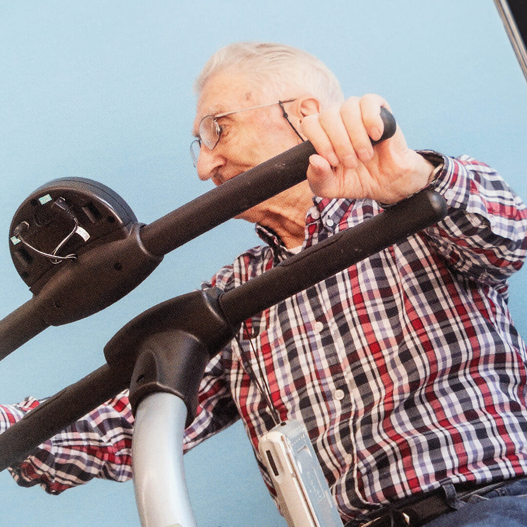 immagine qui c'è vita pernice cultura